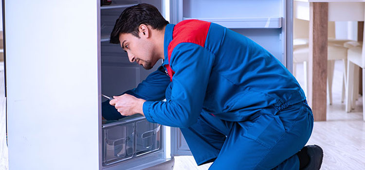 Bertazzoni Freezer Repair Services in Cambridge